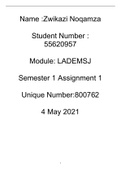 LADEMSJ Assignment 1 Marked