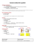 Summarised Human endocrine system notes 