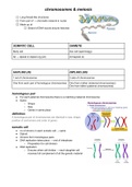 Summarised chromosomes and meiosis notes 
