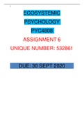PYC4808 ECOSYSTEMIC PSYCHOLOGY ASSIGNMENT 6  [2020]
