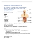 Samenvatting medische biologie BS3 & BS4