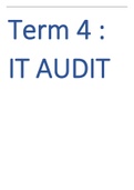Audit process (CAATS)