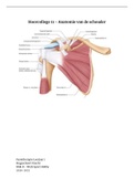 College aantekeningen Blok B Werk, Sport, Hobby - Hoorcollege 11 - Anatomie van de schouder