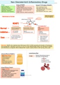 Summary of Analgesic and Anti-Inflammatory Drugs
