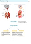 Drugs that affect the Respiratory System