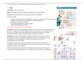 Samenvatting GK/HK: Pathologie 1 - VPK aspecten bij hematologie (3V)