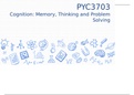 PYC3703 COGNITION: MEMORY,THINKING AND PROBLEM SOLVING notes