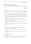 Theme 5 - Credit Agreements notes