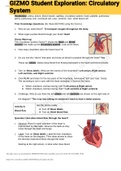 GIZMO Circulatory System 