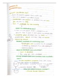 Financial reporting I notes