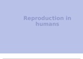 Life sciences Gr12 IEB: Reproduction in humans
