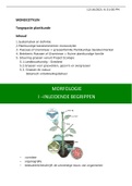 Samenvatting monocotylen plantkunde