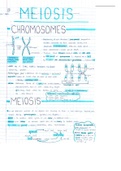 Mitosis & Meiosis Summary