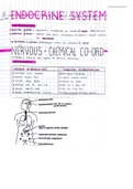Endocrine System Summary Grade 12