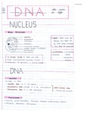 DNA Summary Grade 12