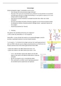 Samenvatting Immunologie deel Matthys