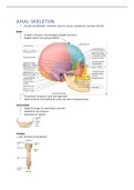 Introduction to the anatomy of the neck, back and upper limb 