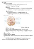 Physical therapy for stroke and TBI lectures
