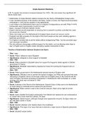 Elizabethan Anglo-Spanish Relations (Word Doc)