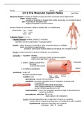 Ch 6 The Muscular System - notes + diagrams