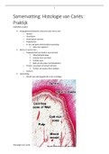 Bundel van Orale Infectie I: Cariologie