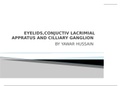 Eye Lid. Gray's Anatomy For Students. Richard L.Drake, A.Wayne Vogl, Adam W.M.Mitchell. ISBN:9780702077050 