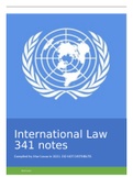 International Law 341 full course notes