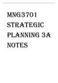 MNG3701 - Strategic Planning 3A