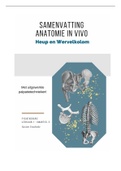 Samenvatting Anatomie in VIVO (leerjaar 1, kwartiel 2) - Het bekken en de wervelkolom