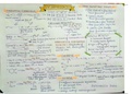 Organic chemisty notes