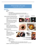 Samenvatting Propedeutica: Oftalmologie (het oog) (3e Ba UA)