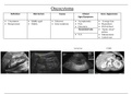 Abdominal Pathology - Ultrasound *(ALL ORGANS)* 