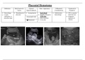 1st Trimester Pathology - Ultrasound