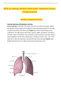 Anatomy Module 2 Study Guide (updated)- Respiratory System 