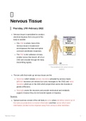 Lecture notes HUB2019F - Nervous Tissue