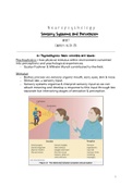 Psy 114: Neuropsychology Sensory Systems and Perceptions