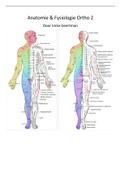 Orthopedie 2 Anatomie & Fysiologie