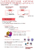 Summary Grade 11 Life Sciences (Biology) - Cardiovascular system 