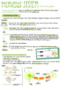 Summary Grade 11 Life Sciences (Biology) - Nervous System