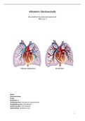 Afstuderen: literatuurstudie pulmonale hypertensie