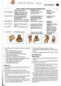 Detailed anatomy note of carpel bones
