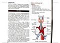 Detailed anatomy note of trachea with images