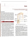 Detailed anatomy of arm with images