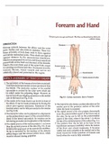 Detailed anatomy of hand and forearm with images