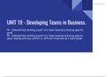 Unit 19 - Developing Teams in Business P5