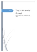 The SARA model in problem solving