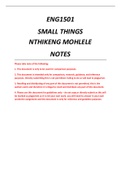 ENG1501 Small Things Novel notes for exam