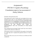PYC4813-Cognitive neuroscience/  Consultation report Assignment 6 ( 95%)