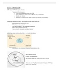 Experimental Cell biology I minor lecture notes 1-9 