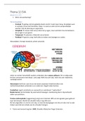CVA samenvatting (Cerebro Vasculair Accident) - fysiotherapie